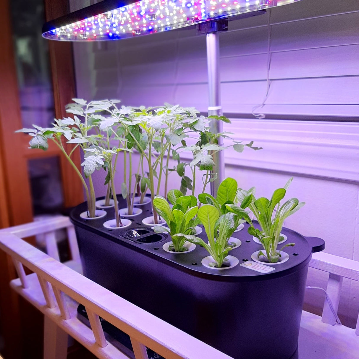 15 Pods Hydroponics Growing System with WiFi - Eagle Peak Custom Canopy Tent