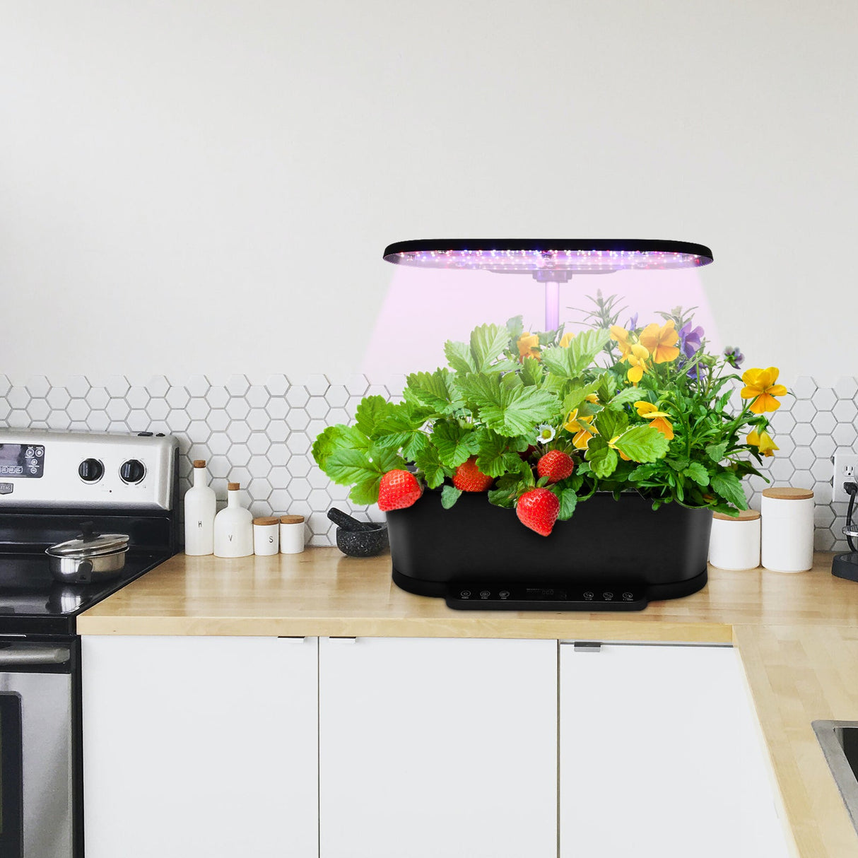 15 Pods Hydroponics Growing System with WiFi - Eagle Peak Custom Canopy Tent