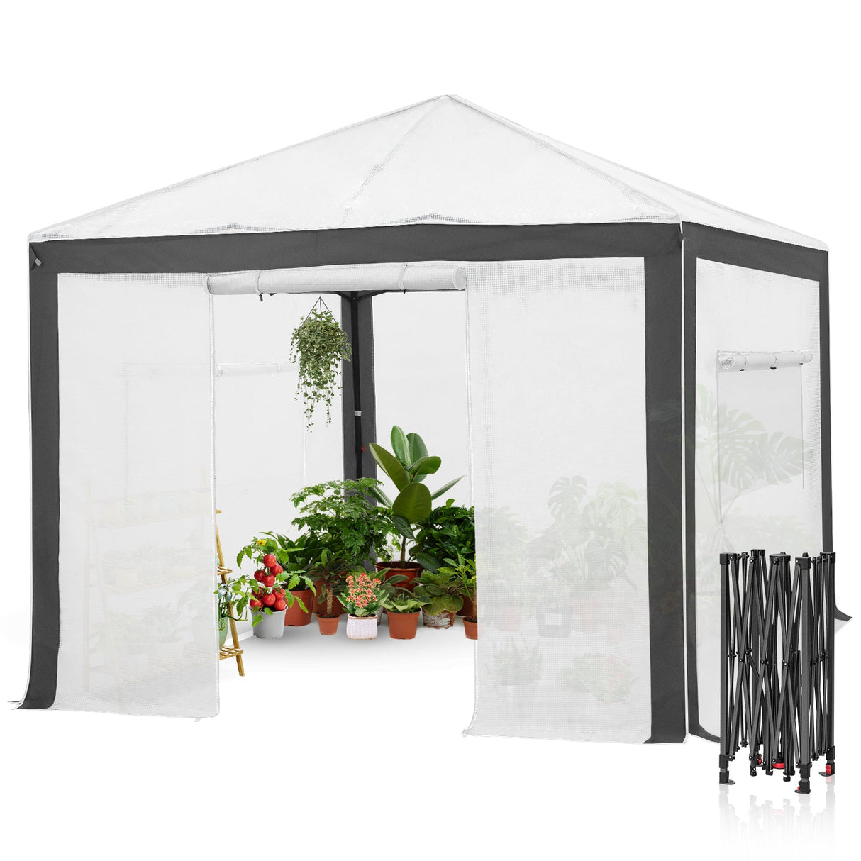 6x4/12x8/10x10 Portable Walk in Greenhouse with Polyester Reinforced Corners, Gray/White, Green/White - Eagle Peak Custom Canopy Tent