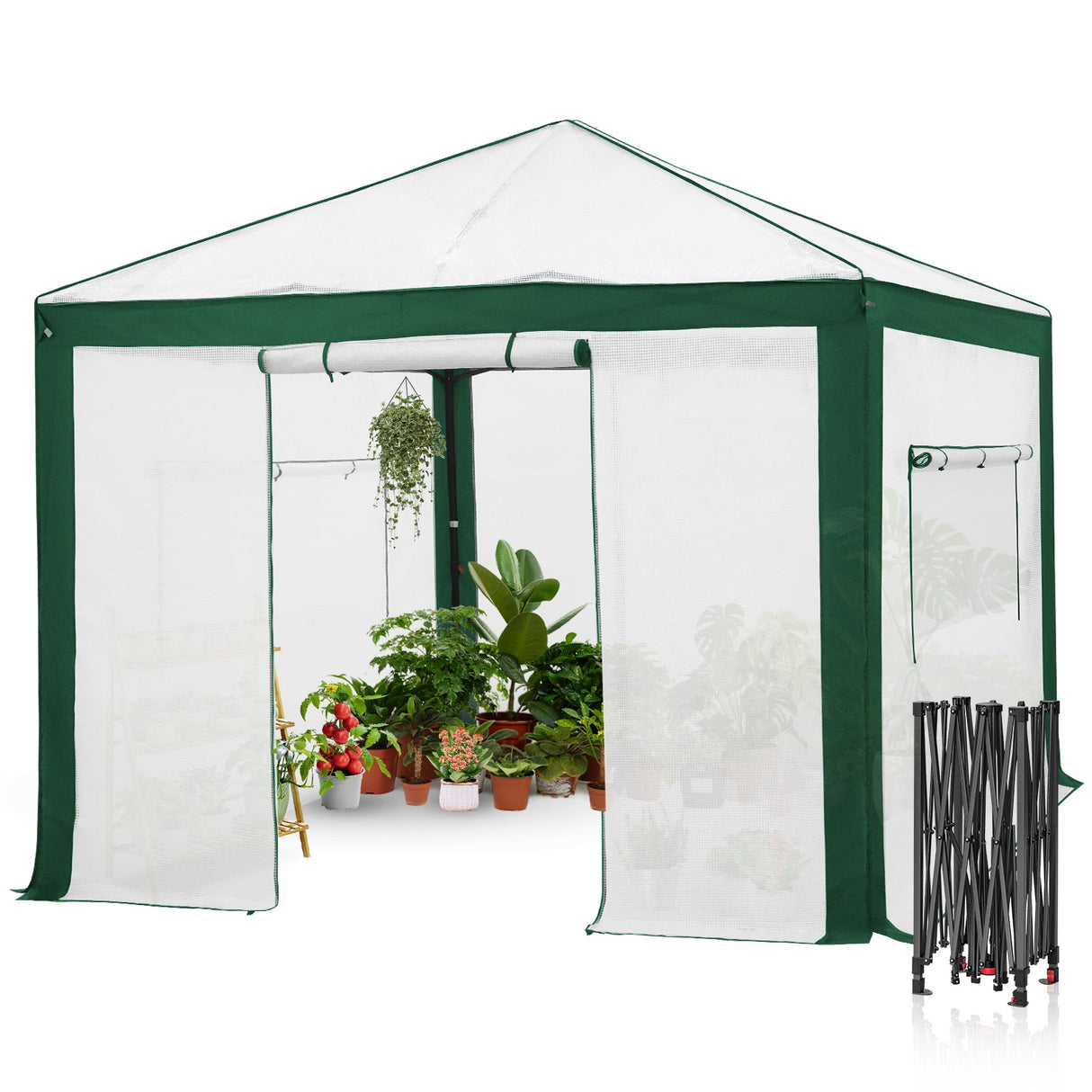 6x4/12x8/10x10 Portable Walk in Greenhouse with Polyester Reinforced Corners, Gray/White, Green/White - Eagle Peak Custom Canopy Tent