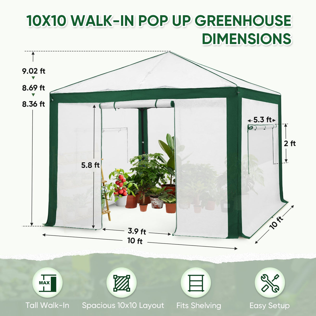6x4/12x8/10x10 Portable Walk in Greenhouse with Polyester Reinforced Corners, Gray/White, Green/White - Eagle Peak Custom Canopy Tent