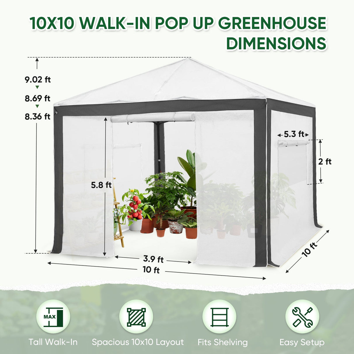 6x4/12x8/10x10 Portable Walk in Greenhouse with Polyester Reinforced Corners, Gray/White, Green/White - Eagle Peak Custom Canopy Tent