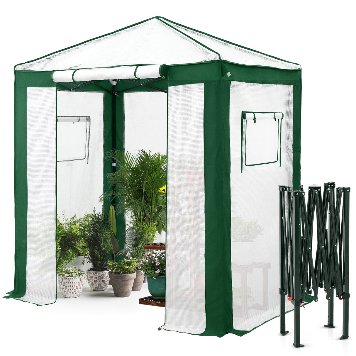 6x4/8x6/10x10 Portable Walk in Greenhouse with Polyester Reinforced Corners, Gray/White, Green/White - Eagle Peak Custom Canopy Tent