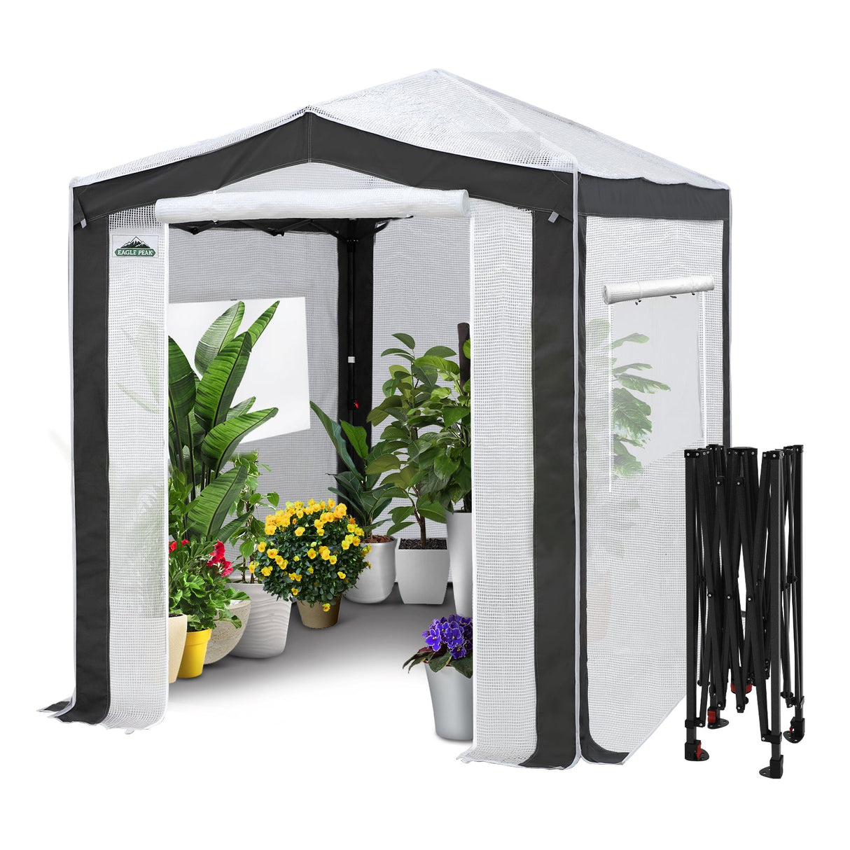 6x4/8x6/10x10 Portable Walk in Greenhouse with Polyester Reinforced Corners, Gray/White, Green/White - Eagle Peak Custom Canopy Tent
