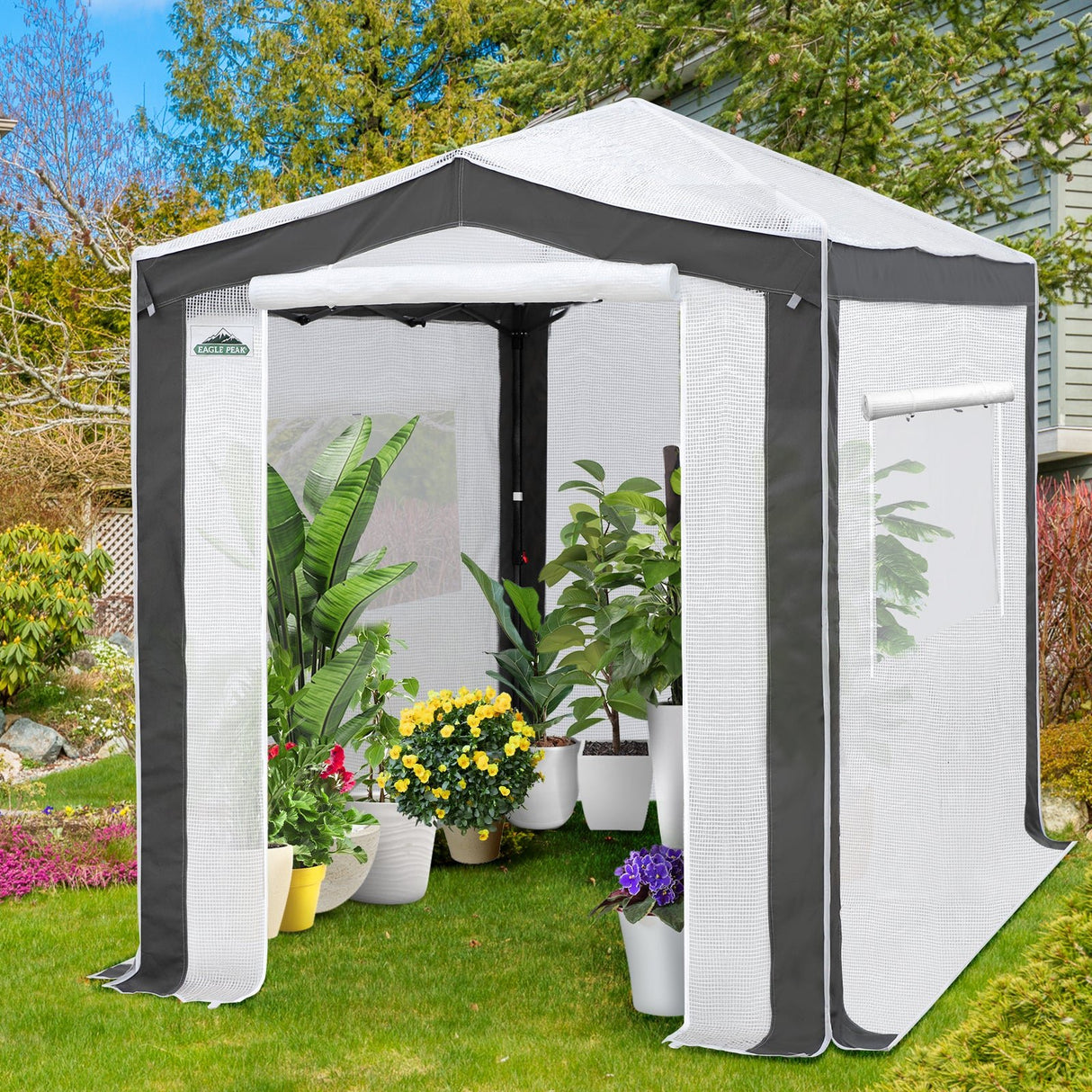 6x4/8x6/10x10 Portable Walk in Greenhouse with Polyester Reinforced Corners, Gray/White, Green/White - Eagle Peak Custom Canopy Tent