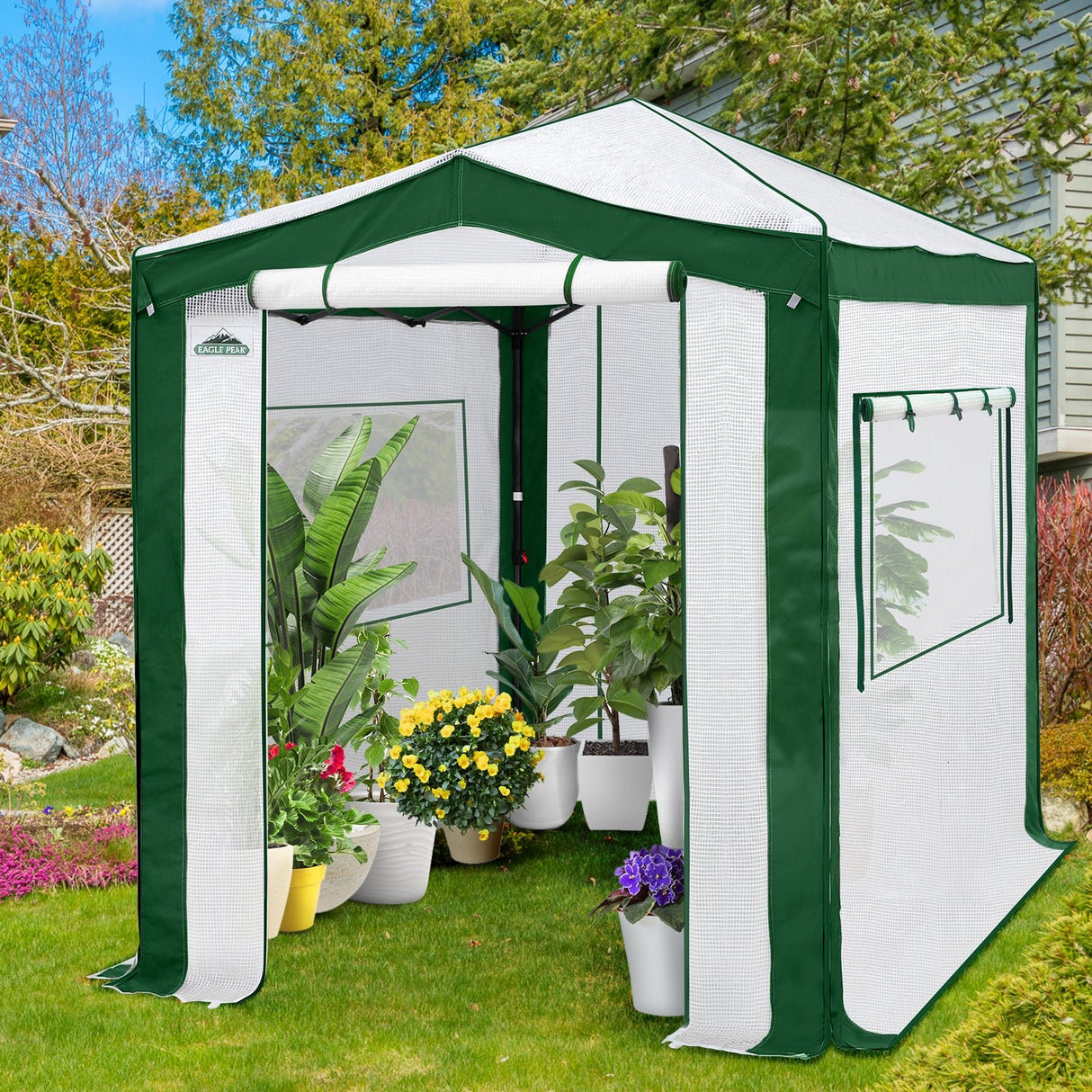 6x4/8x6/10x10 Portable Walk in Greenhouse with Polyester Reinforced Corners, Gray/White, Green/White - Eagle Peak Custom Canopy Tent