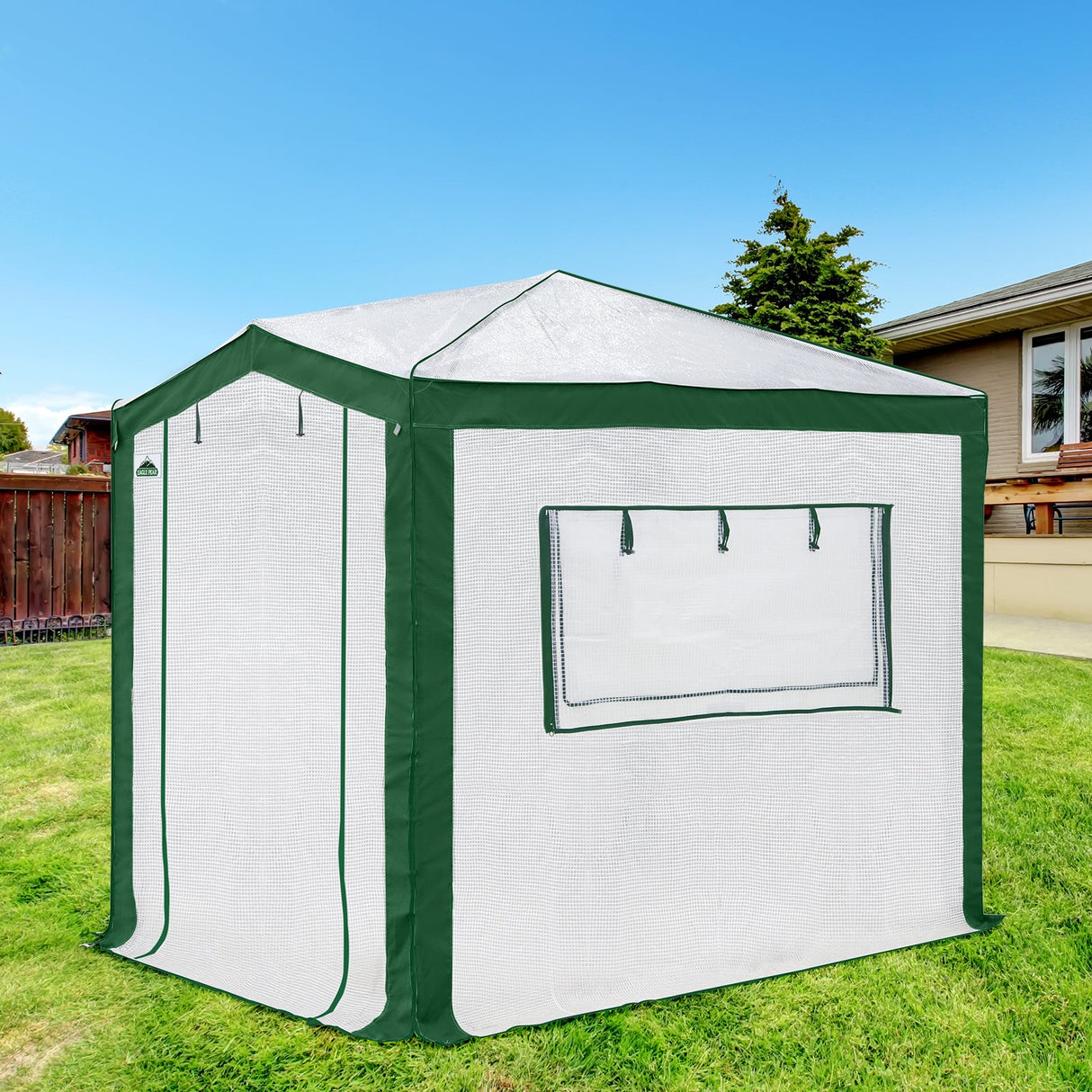 6x4/8x6/10x10 Portable Walk in Greenhouse with Polyester Reinforced Corners, Gray/White, Green/White - Eagle Peak Custom Canopy Tent