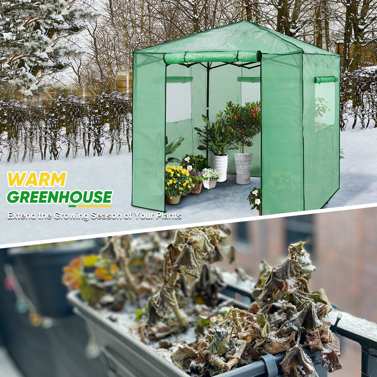 7x7 Pop up Greenhouse Portable Walk - in with 2 Foldable Shelves - Eagle Peak
