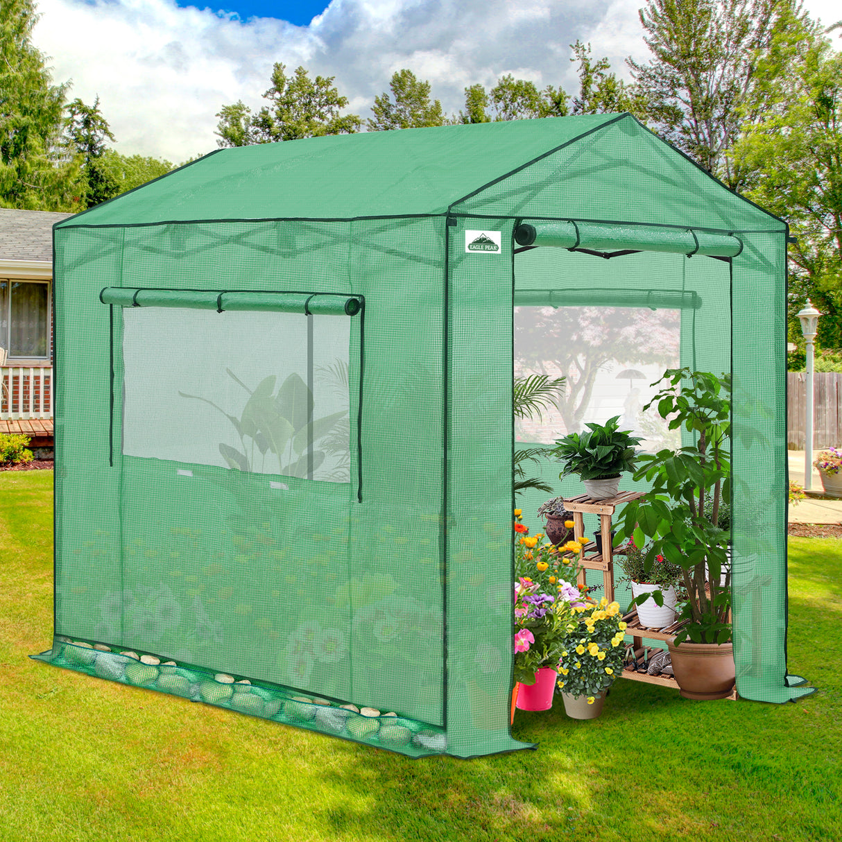 6x6/ 8x8/ 10x10 Portable Pop Up Greenhouse, Patented Center Lock with Gable Roof