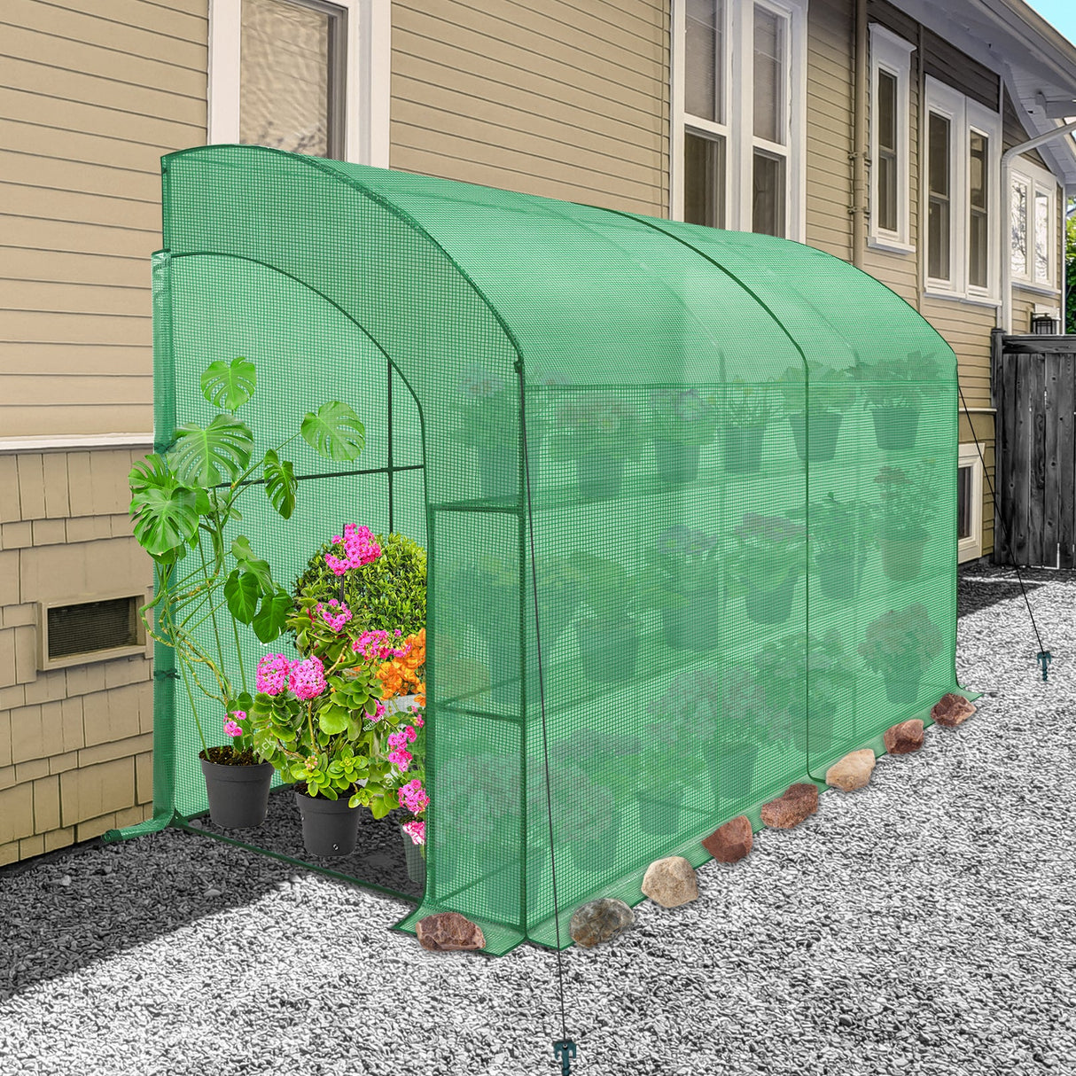 9.9x4.9x7.1 Outdoor Lean to Walk - in Greenhouse with Shelf - Eagle Peak