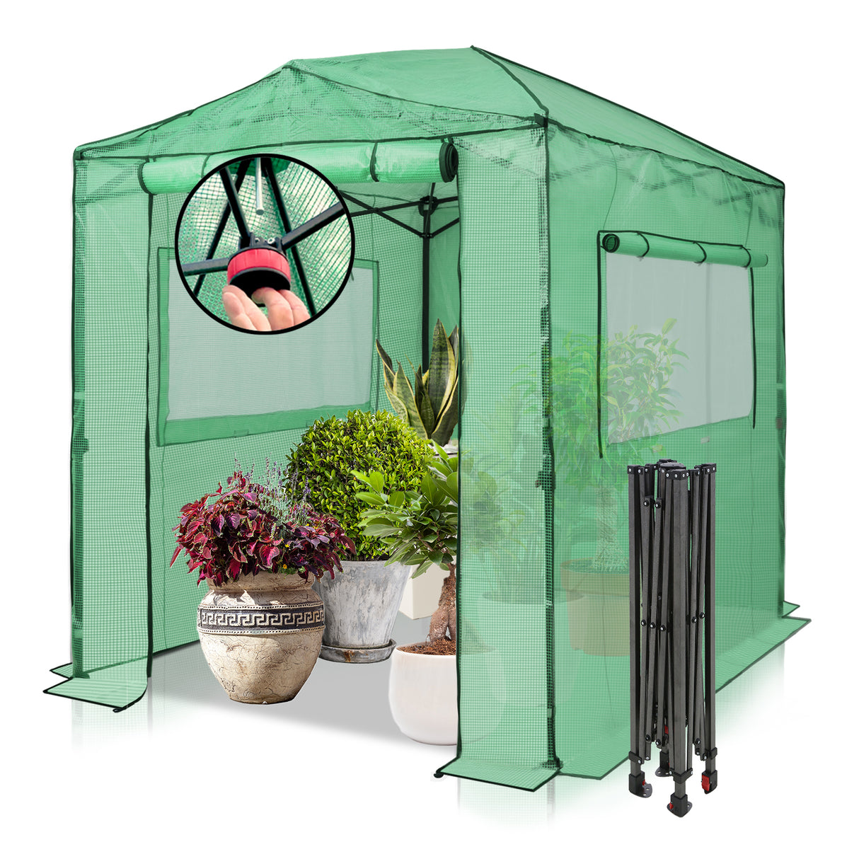 Easy Setup 8x6 Instant Pop Up Greenhouse
