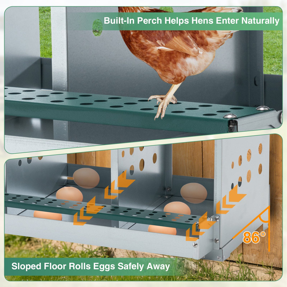 EAGLE PEAK 3/4/6/8/10 - Hole Wall Mounted Chicken Nesting Box (Green) - Eagle Peak Custom Canopy Tent