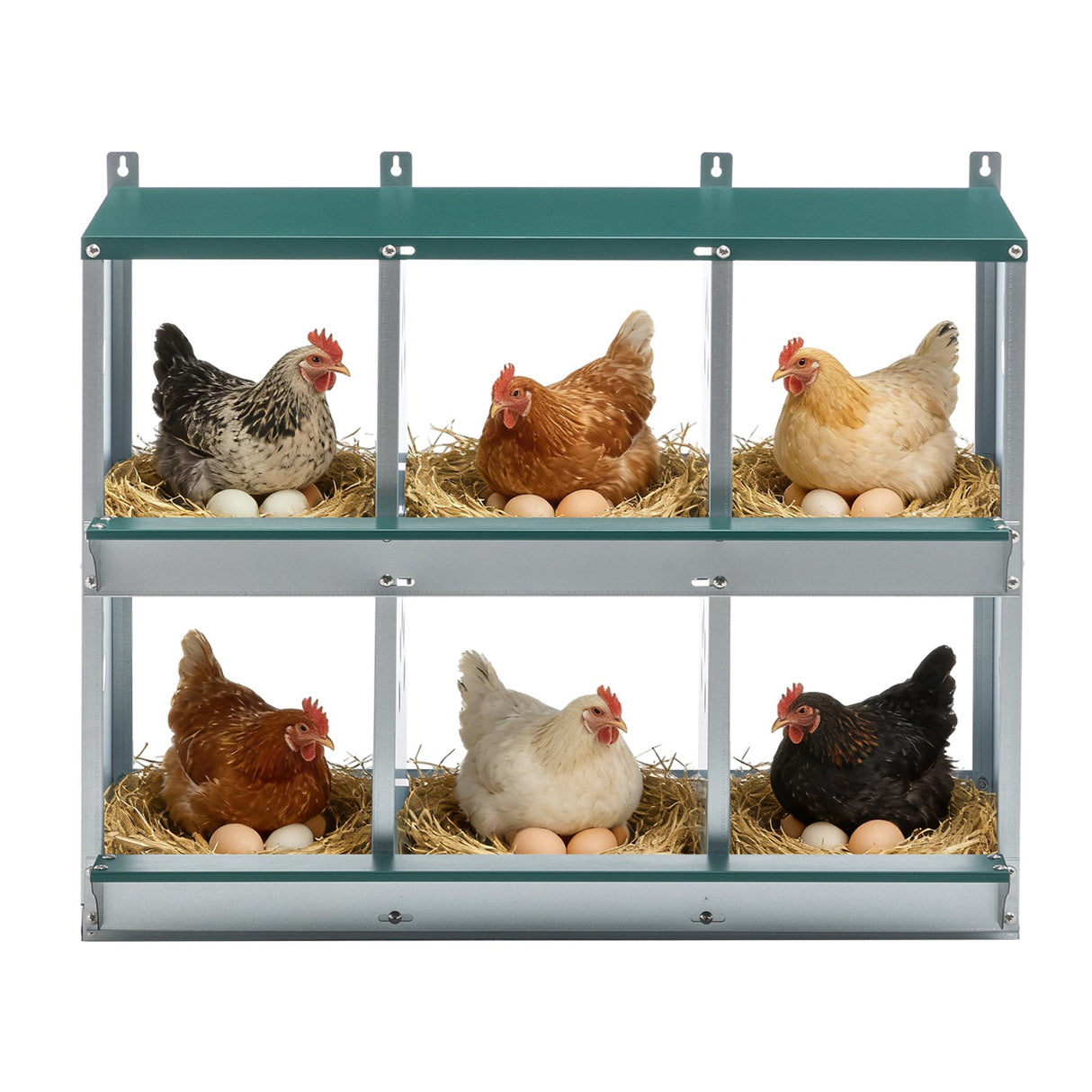 EAGLE PEAK 3/4/6/8/10 - Hole Wall Mounted Chicken Nesting Box (Green) - Eagle Peak Custom Canopy Tent