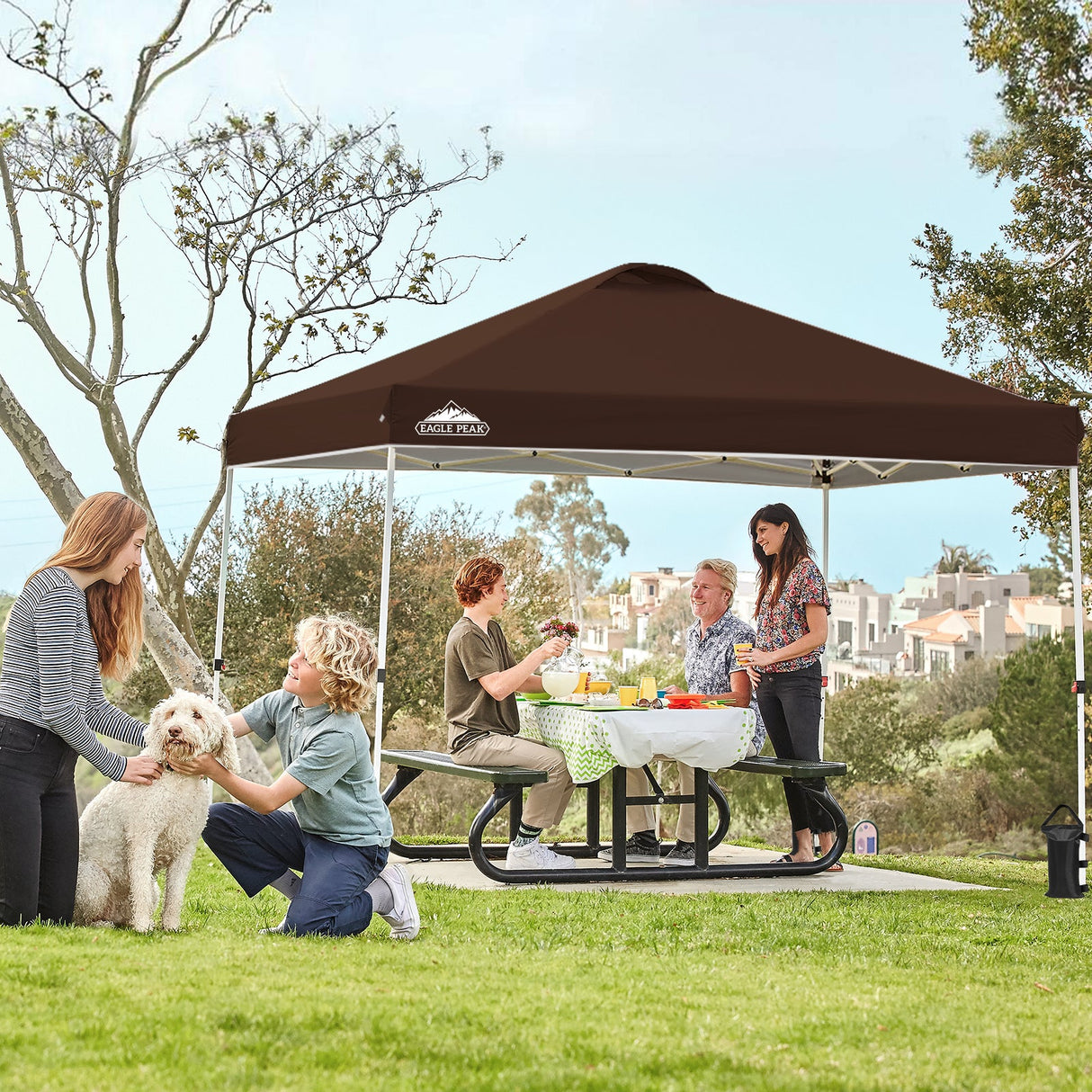 Easy Setup Straight Leg 10x10 Pop Up Canopy Tent w/ 100 sqft of Shade - Eagle Peak Custom Canopy Tent