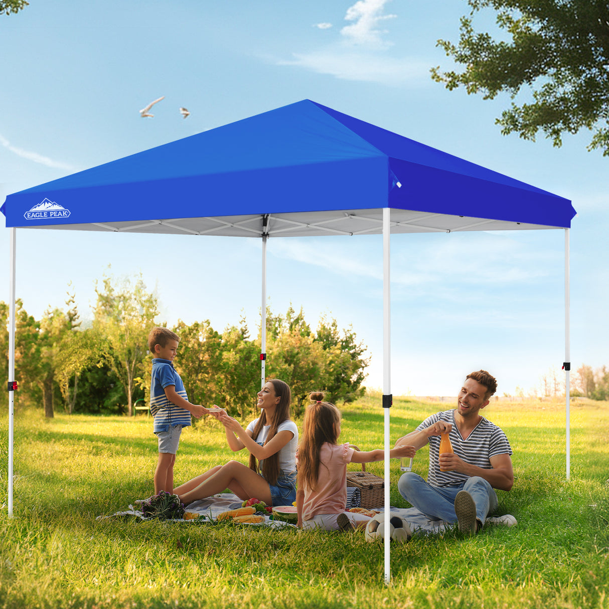 10x10 Outdoor Pop up Straight Leg Canopy with Wheeled Carry Bag