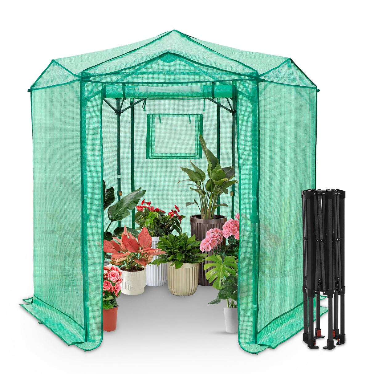 6.6x6.6 ft Hexagon Pop up Greenhouse
