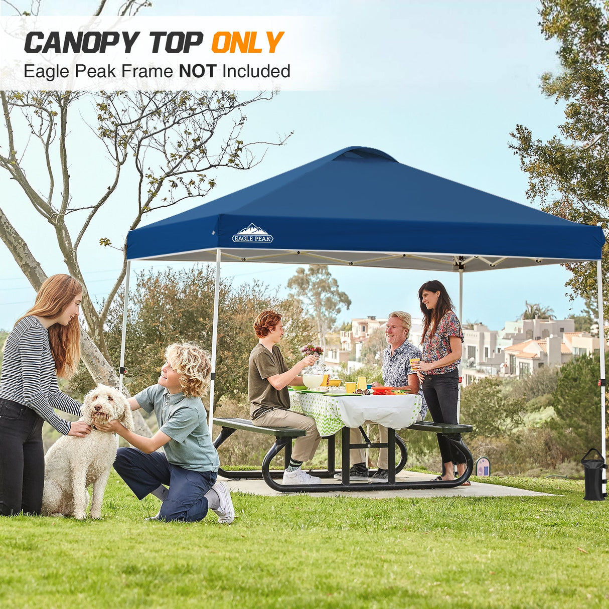 Replacement Canopy Cover with Air Vent for 10x10 Pop Up Canopy Tent, Top Only - Eagle Peak Custom Canopy Tent