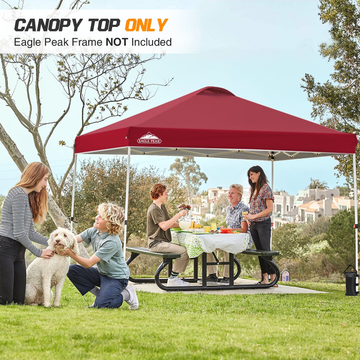 Replacement Canopy Cover with Air Vent for 10x10 Pop Up Canopy Tent, Top Only - Eagle Peak Custom Canopy Tent