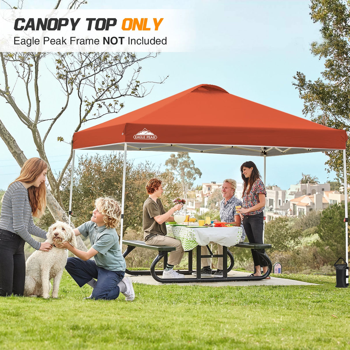 Replacement Canopy Cover with Air Vent for 10x10 Pop Up Canopy Tent, Top Only - Eagle Peak Custom Canopy Tent
