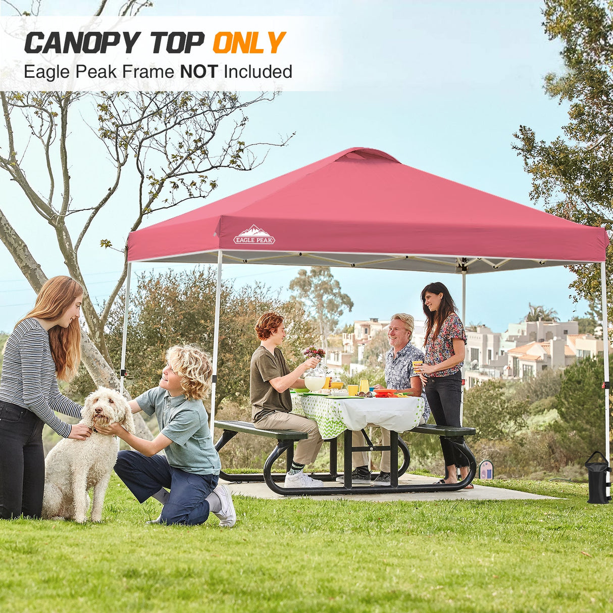 Replacement Canopy Cover with Air Vent for 10x10 Pop Up Canopy Tent, Top Only - Eagle Peak Custom Canopy Tent
