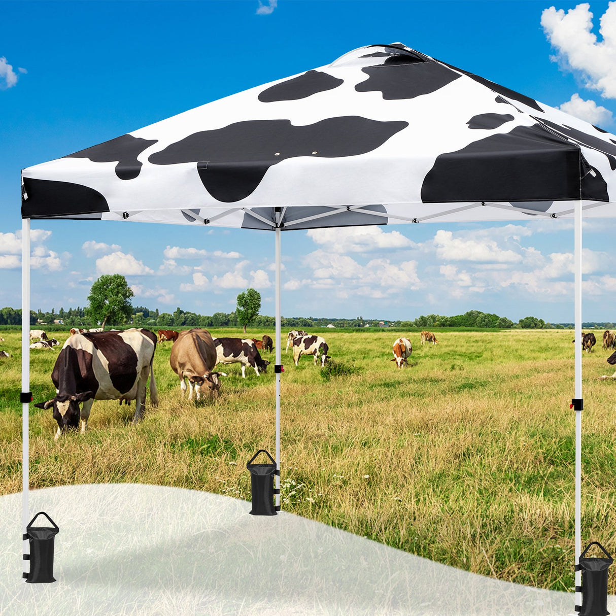 SHADE GRAPHiX Easy Setup 10x10 Pop Up Canopy Tent with Digital Printed Cow Print Top - Eagle Peak Custom Canopy Tent