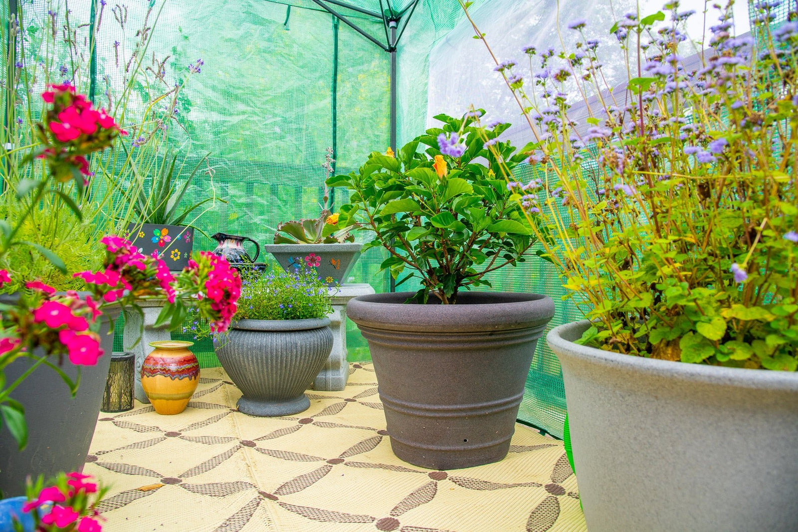 6 TOP TIPS TO WINTERIZE YOUR GREENHOUSE - Eagle Peak Custom Canopy Tent