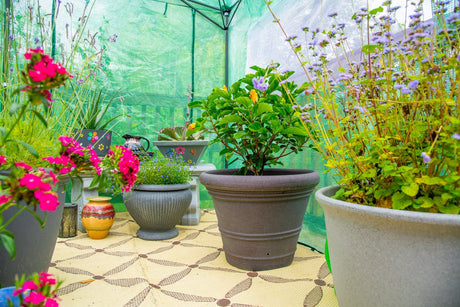 6 TOP TIPS TO WINTERIZE YOUR GREENHOUSE - Eagle Peak Custom Canopy Tent