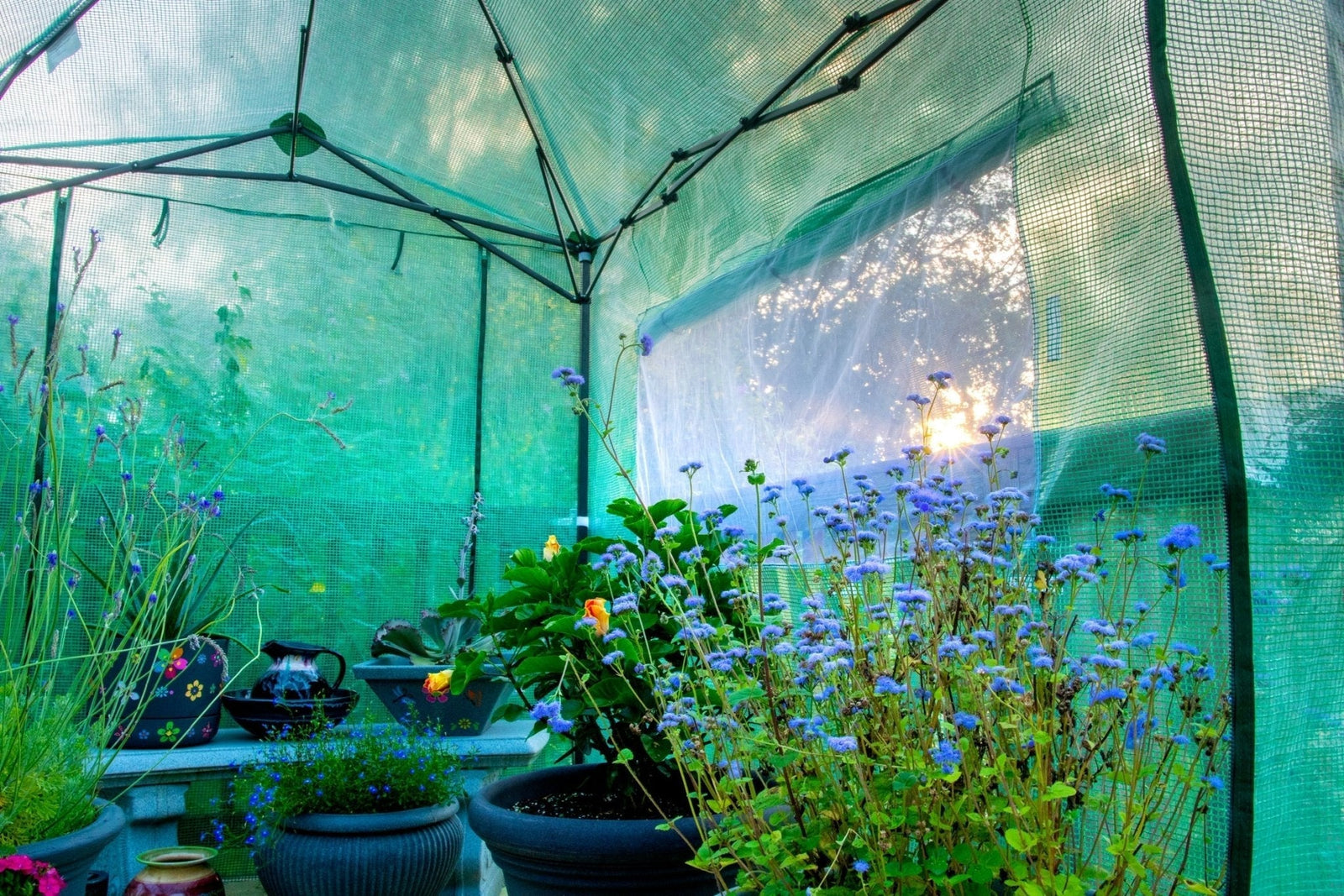 Why Polyethylene (PE) Greenhouses Covers are Better than Polyvinyl Chloride (PVC) Covers in 2026 - Eagle Peak Custom Canopy Tent