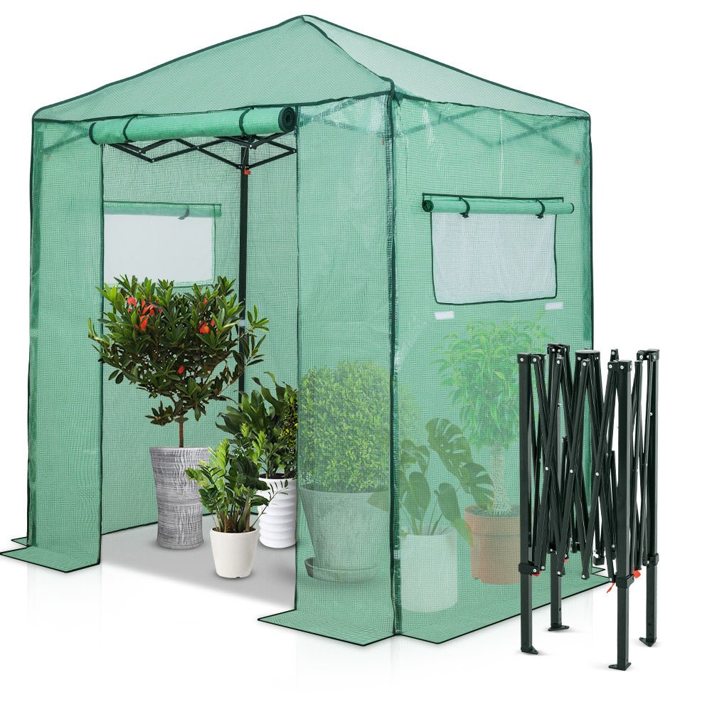 6' x 4' Greenhouse_GH24 - Eagle Peak Canopy and Outdoor Products