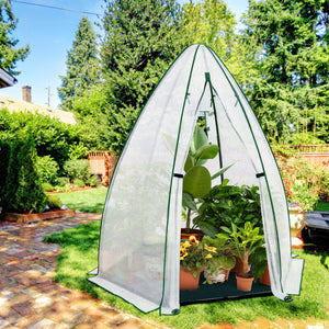 Mini Greenhouses