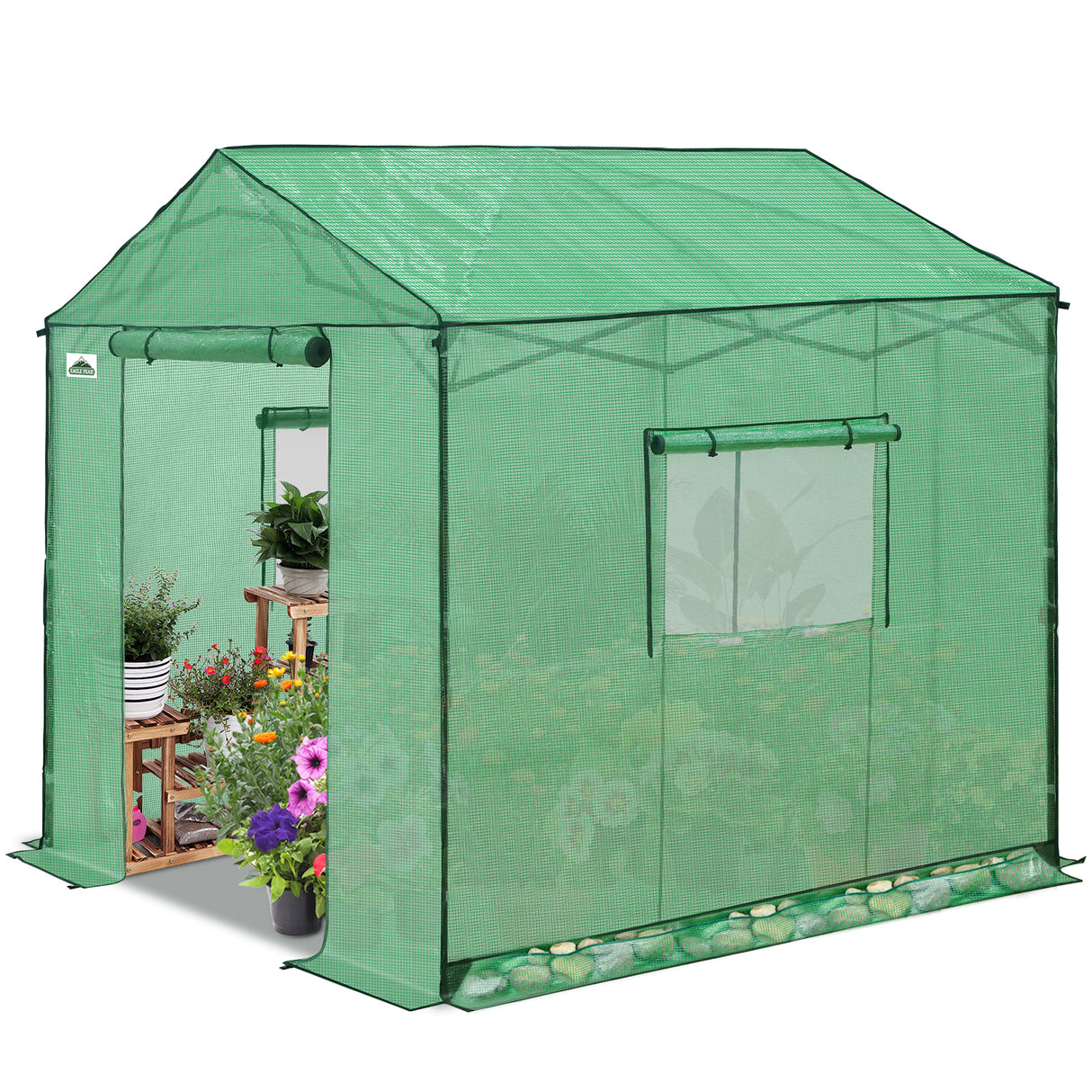 6x6/ 8x8/ 10x10 Portable Pop Up Greenhouse, Patented Center Lock with Gable Roof