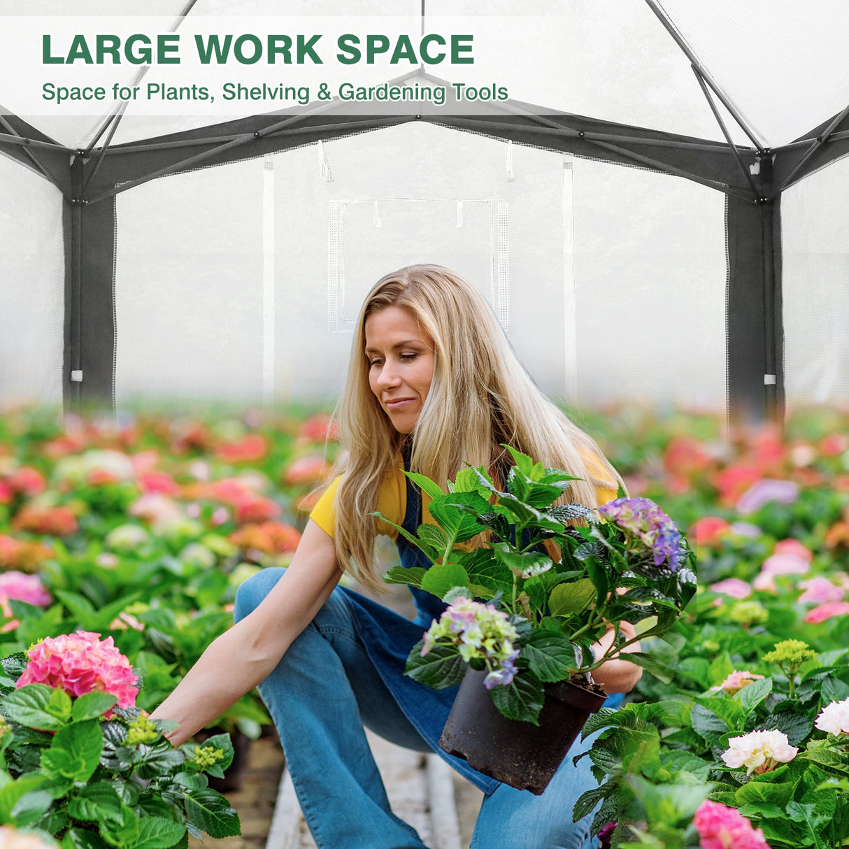 12x8 Portable Walk in Greenhouse with Polyester Reinforced Corners - Eagle Peak Custom Canopy Tent