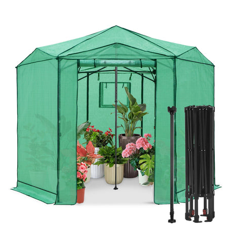 6.6x6.6 ft/ 8.5x8.5 ft Hexagon Pop up Greenhouse - Eagle Peak Custom Canopy Tent