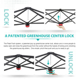 6x4/8x6/10x10 Portable Walk in Greenhouse with Polyester Reinforced Corners, Gray/White, Green/White - Eagle Peak Custom Canopy Tent