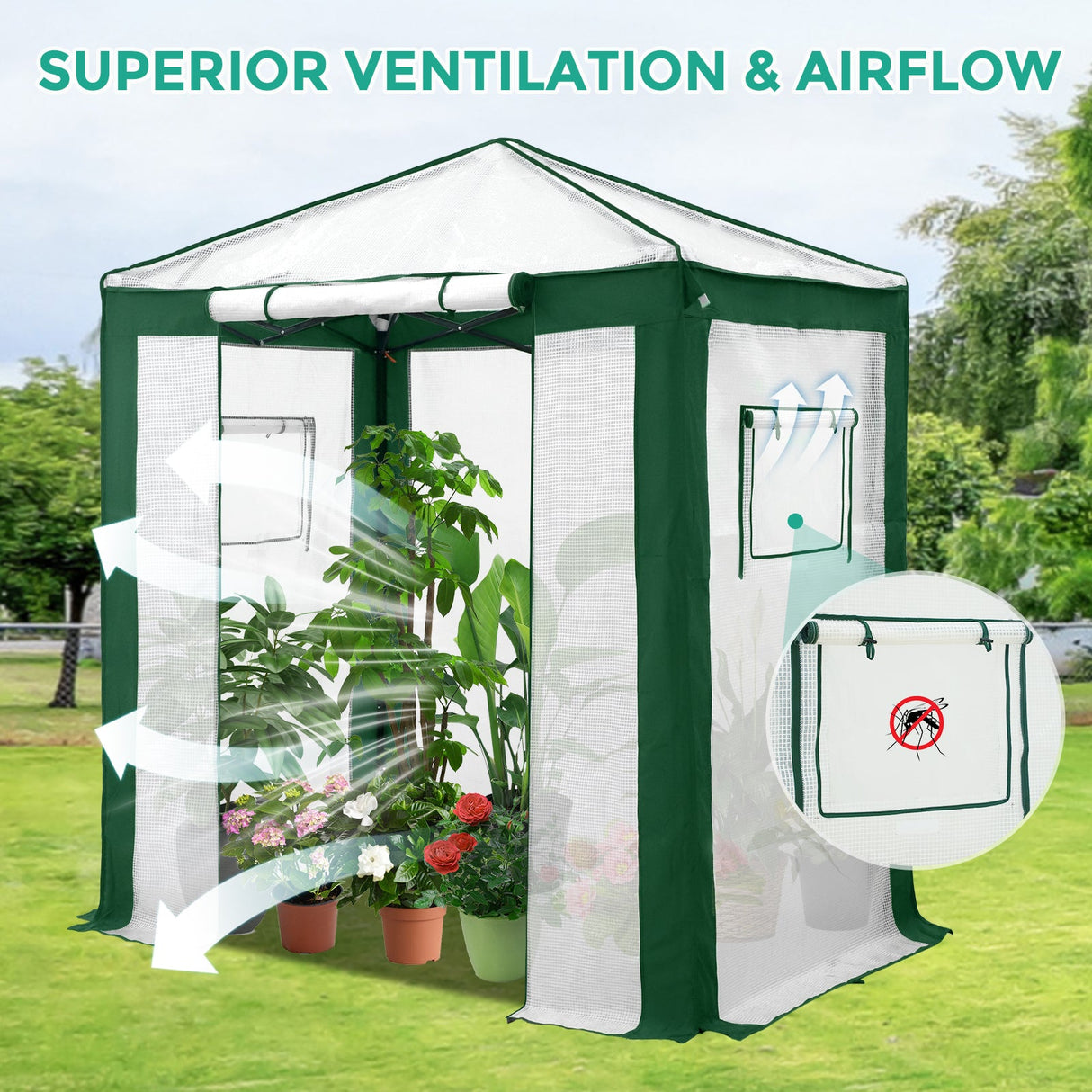 6x4/8x6/10x10 Portable Walk in Greenhouse with Polyester Reinforced Corners, Gray/White, Green/White - Eagle Peak Custom Canopy Tent