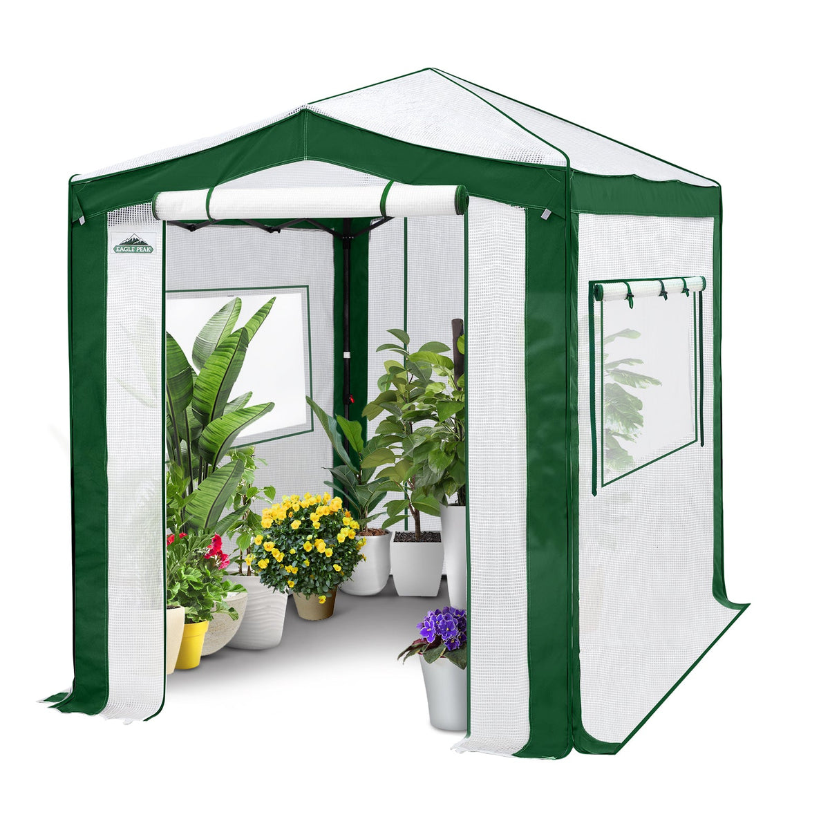 6x4/8x6/10x10 Portable Walk in Greenhouse with Polyester Reinforced Corners, Gray/White, Green/White - Eagle Peak Custom Canopy Tent
