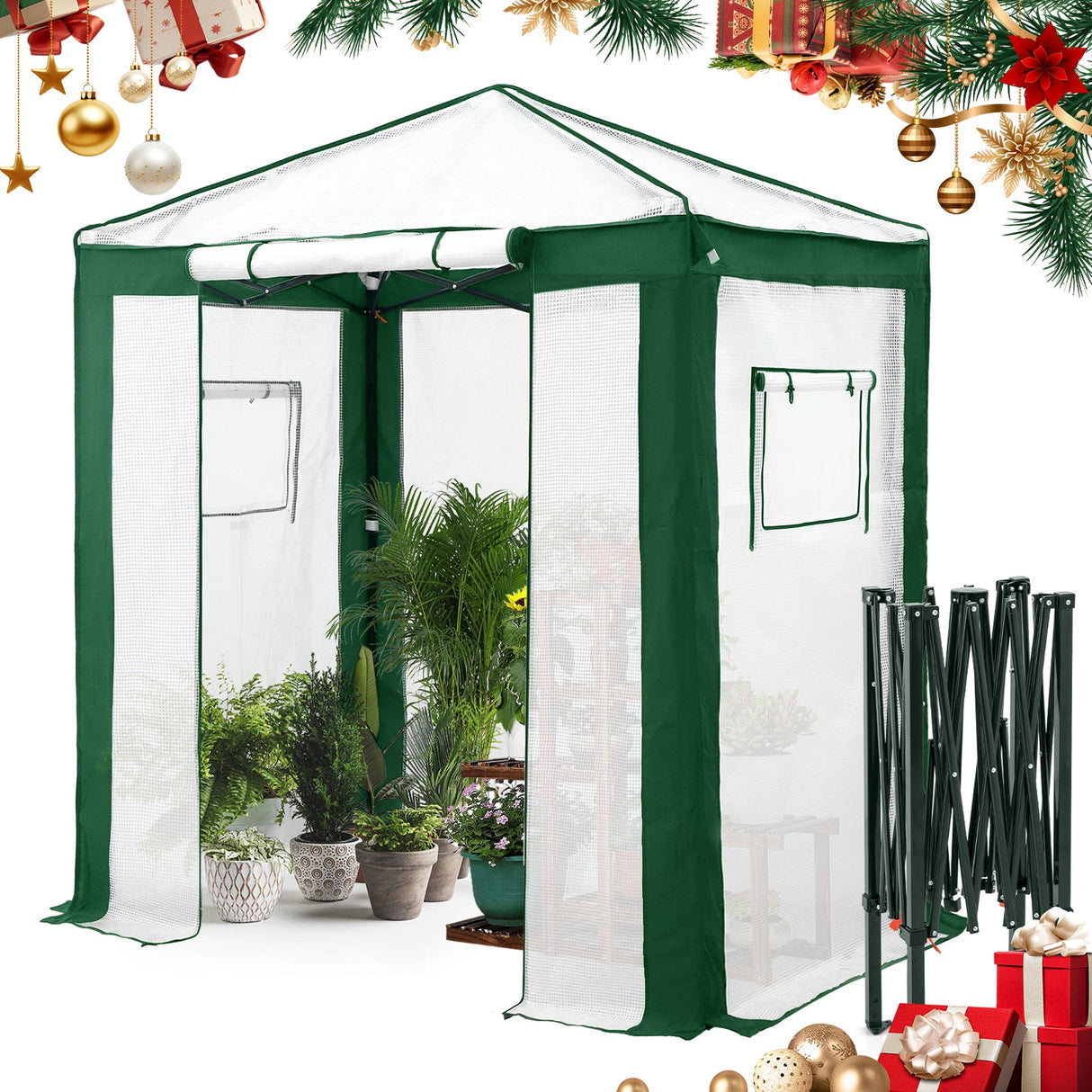 6x4/8x6/10x10 Portable Walk in Greenhouse with Polyester Reinforced Corners, Gray/White, Green/White - Eagle Peak Custom Canopy Tent