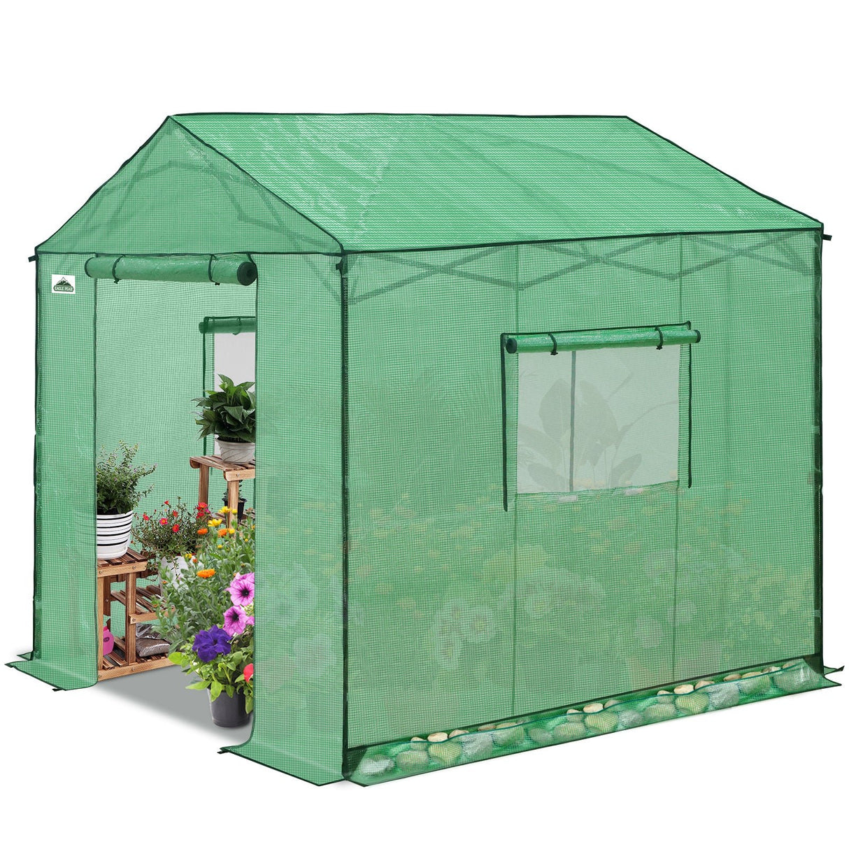 6x6/ 8x8/ 10x10 Portable Pop Up Greenhouse, Patented Center Lock with Gable Roof - Eagle Peak