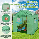 6x6/ 8x8/ 10x10 Portable Pop Up Greenhouse, Patented Center Lock with Gable Roof - Eagle Peak