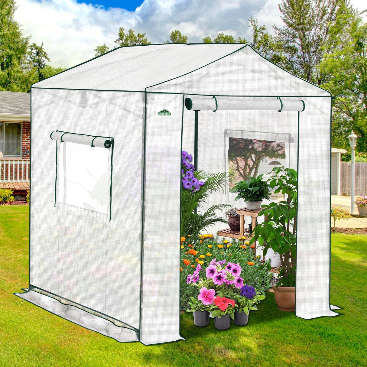 6x6/ 8x8/ 10x10 Portable Pop Up Greenhouse, Patented Center Lock with Gable Roof - Eagle Peak Custom Canopy Tent