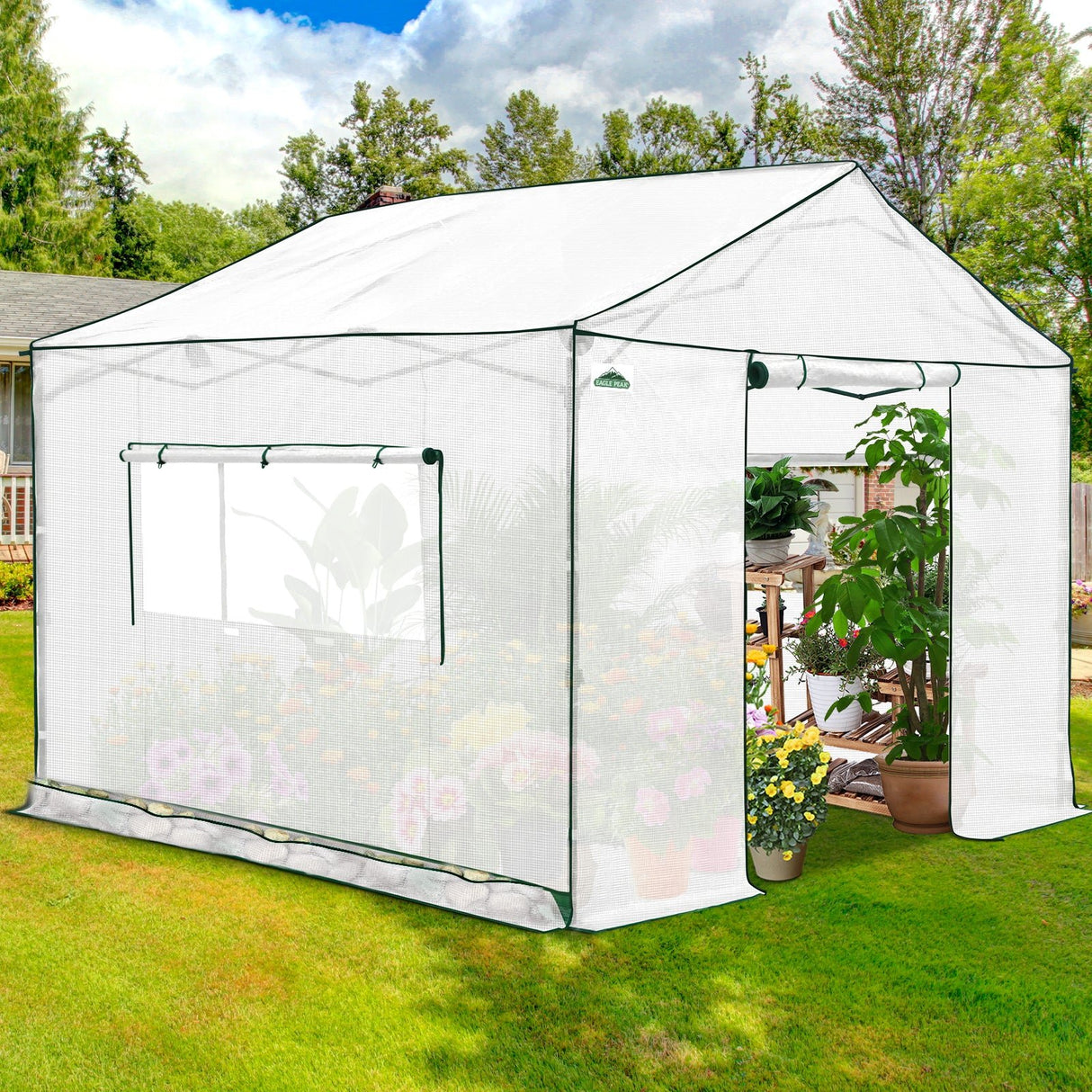 6x6/ 8x8/ 10x10 Portable Pop Up Greenhouse, Patented Center Lock with Gable Roof - Eagle Peak Custom Canopy Tent