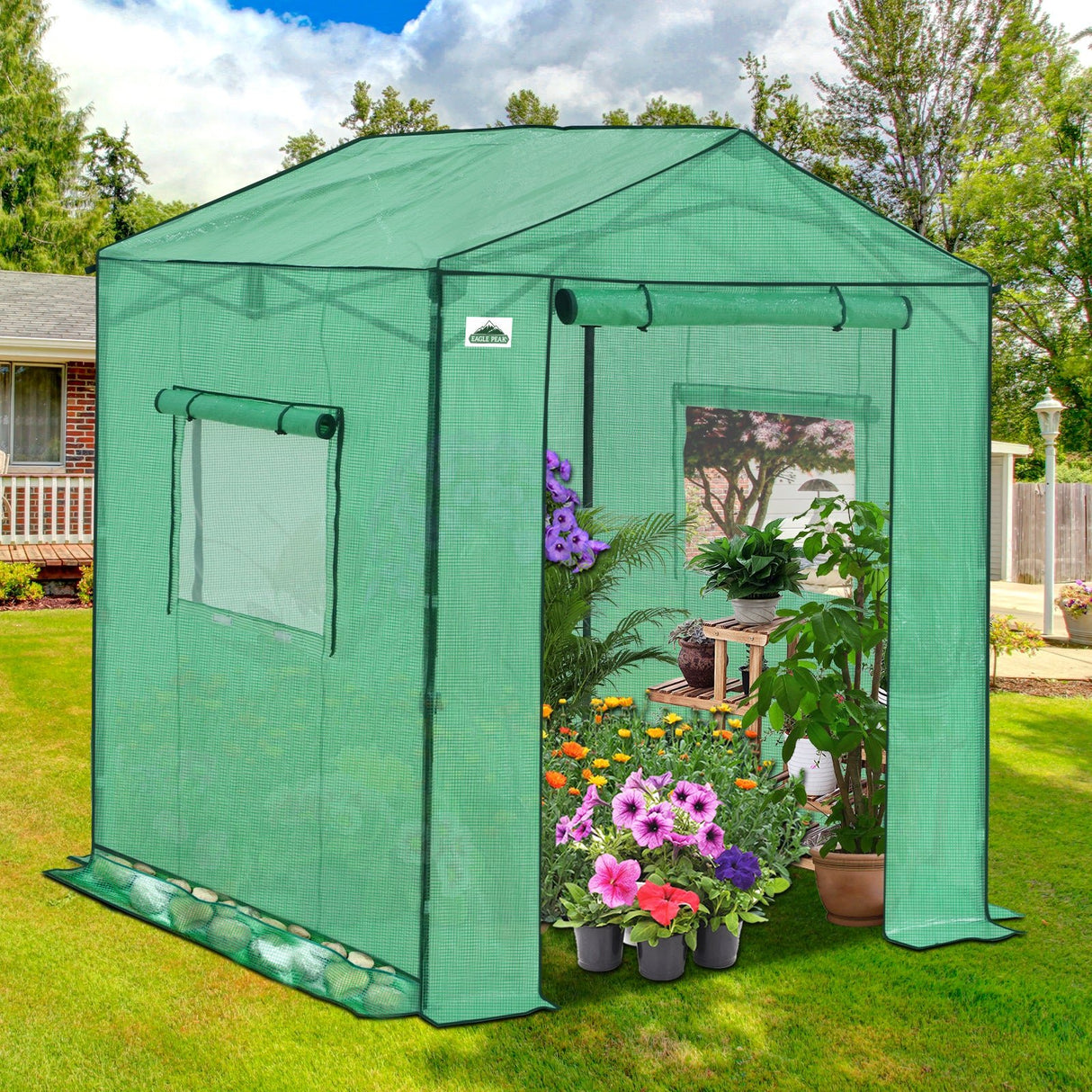6x6/ 8x8/ 10x10 Portable Pop Up Greenhouse, Patented Center Lock with Gable Roof - Eagle Peak Custom Canopy Tent