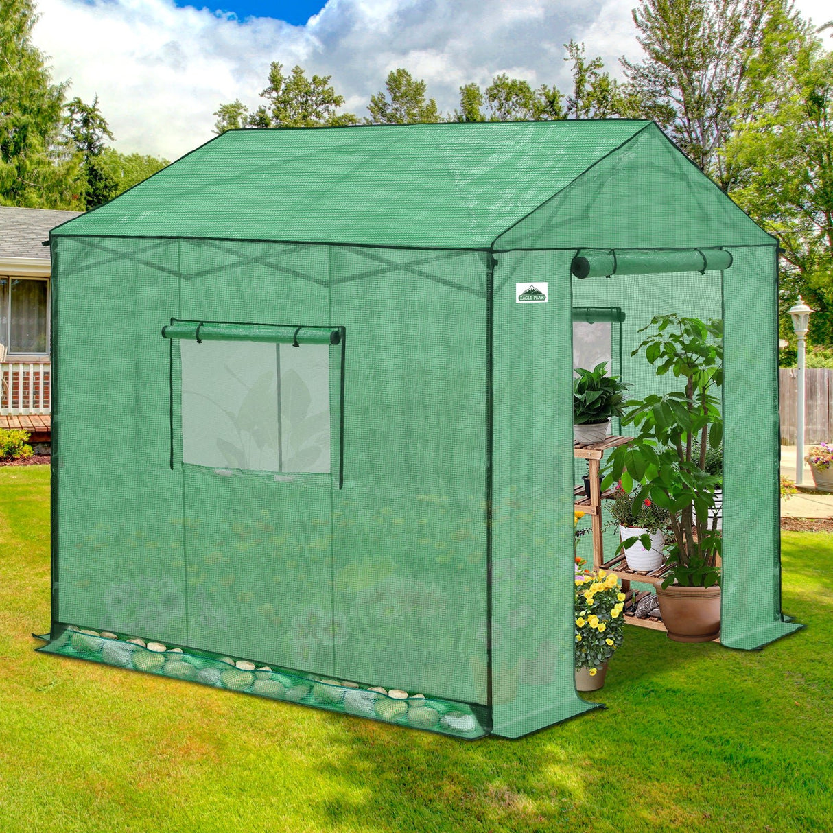 6x6/ 8x8/ 10x10 Portable Pop Up Greenhouse, Patented Center Lock with Gable Roof - Eagle Peak