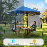 8x8 Pop Up Canopy Tent with Sidewall,8x8 Base 6x6 Top - Eagle Peak®
