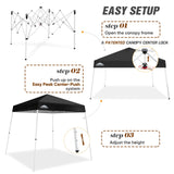 8x8 Slant Leg Pop - up Canopy Tent, Shelter 8x8 Base 6x6 Top - Eagle Peak Custom Canopy Tent