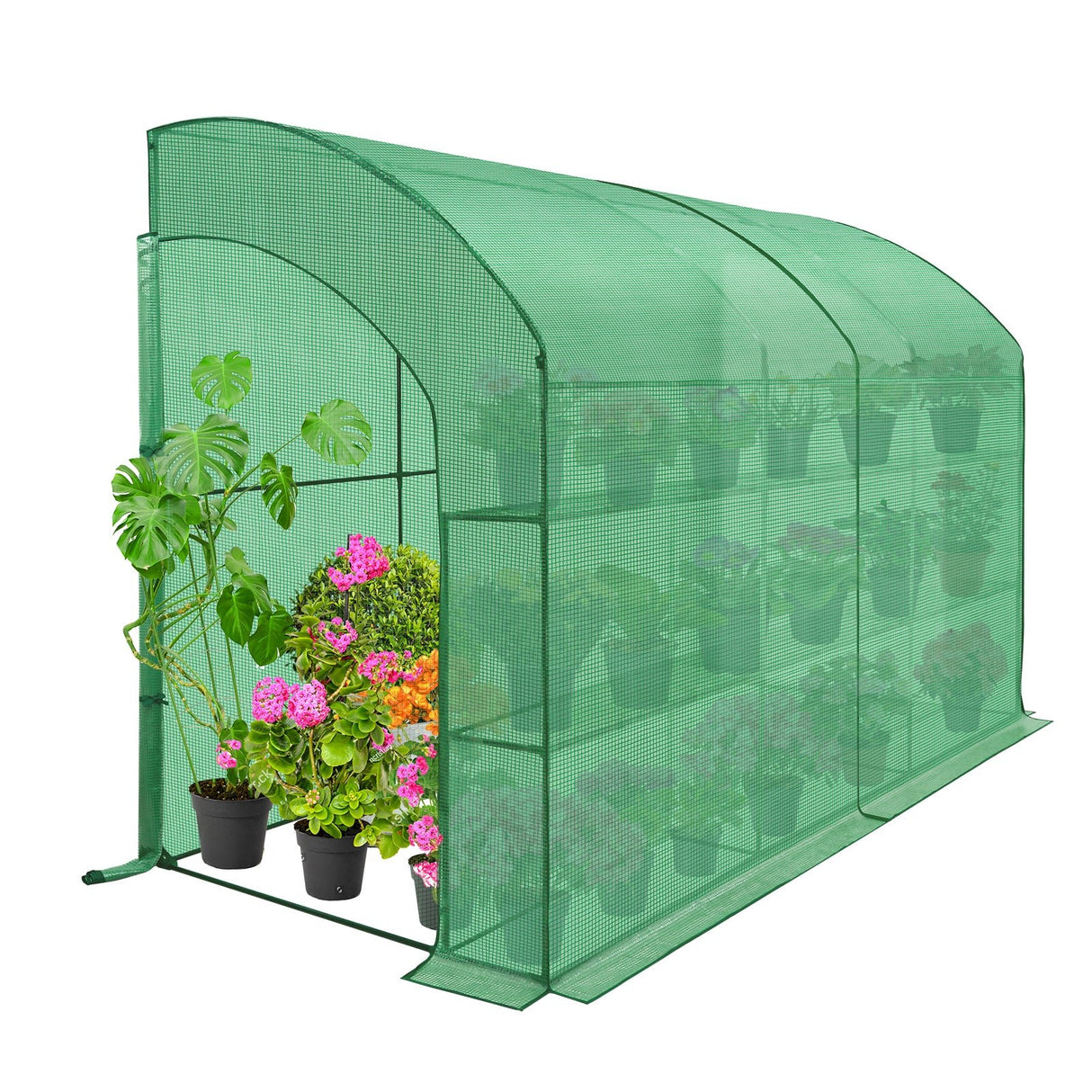 9.9x4.9x7.1 Outdoor Lean to Walk - in Greenhouse with Shelf - Eagle Peak