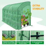 9.9x4.9x7.1 Outdoor Lean to Walk - in Greenhouse with Shelf - Eagle Peak