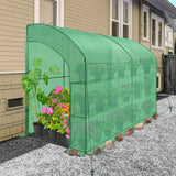 9.9x4.9x7.1 Outdoor Lean to Walk - in Greenhouse with Shelf - Eagle Peak