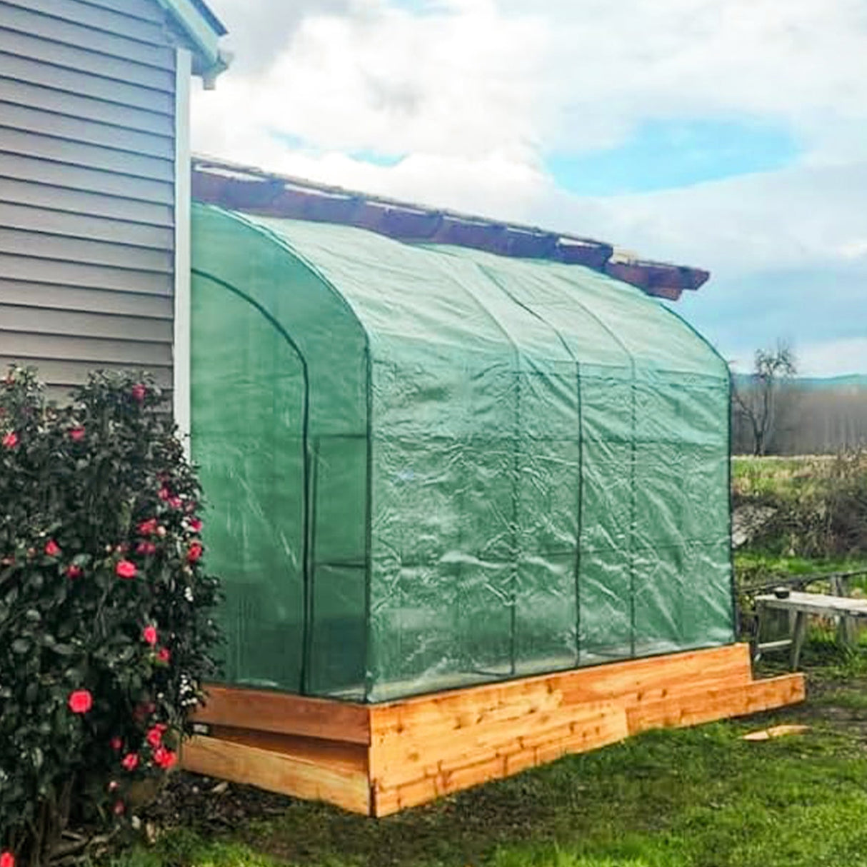 9.9x4.9x7.1 Outdoor Lean to Walk - in Greenhouse with Shelf - Eagle Peak