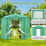 6.6x6.6 ft/ 8.5x8.5 ft Hexagon Pop up Greenhouse